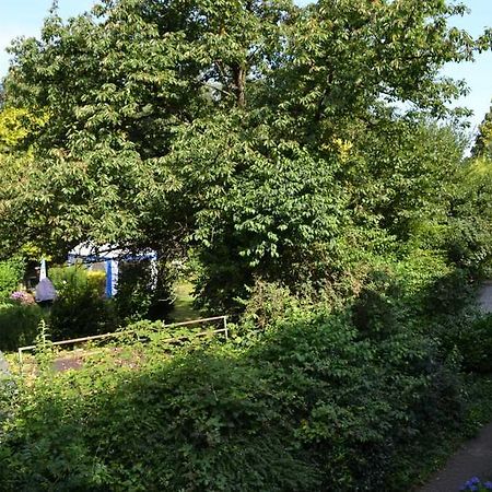 4 Sterne Ferienwohnungen Lavendel Brueggen Брюґґен Екстер'єр фото